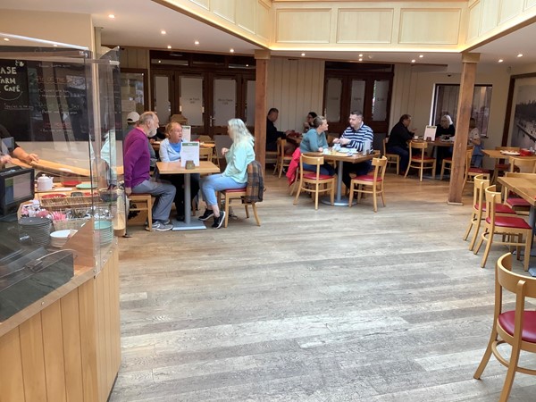 Picture of people eating at tables outside