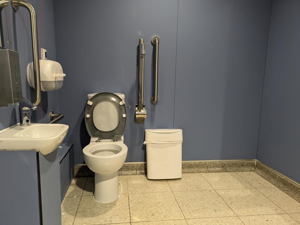 Image of accessible toilet