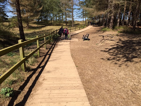 Picture of Holkham Beach - Wide Path