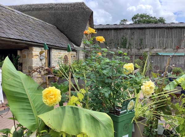 National Trust - Hidcote, Chipping Campden