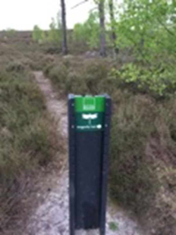 Picture of Thursley National Nature Reserve