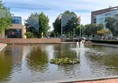 Image of a water feature