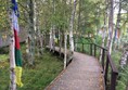 Boardwalk towards red pandas.