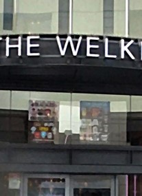 The Welkin