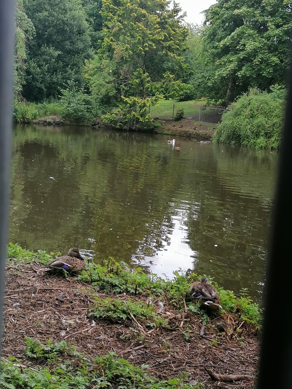 Picture of Rozelle Estate, Ayr