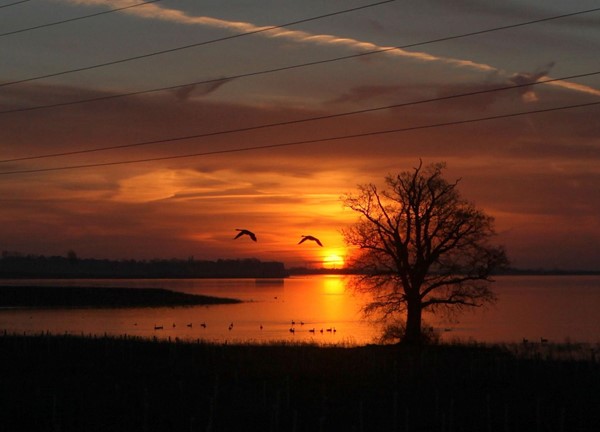 Picture of Abberton Reservoir visitors centre -Taken on another occasion by a volunteer