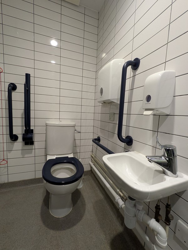 Image of accessible toilet