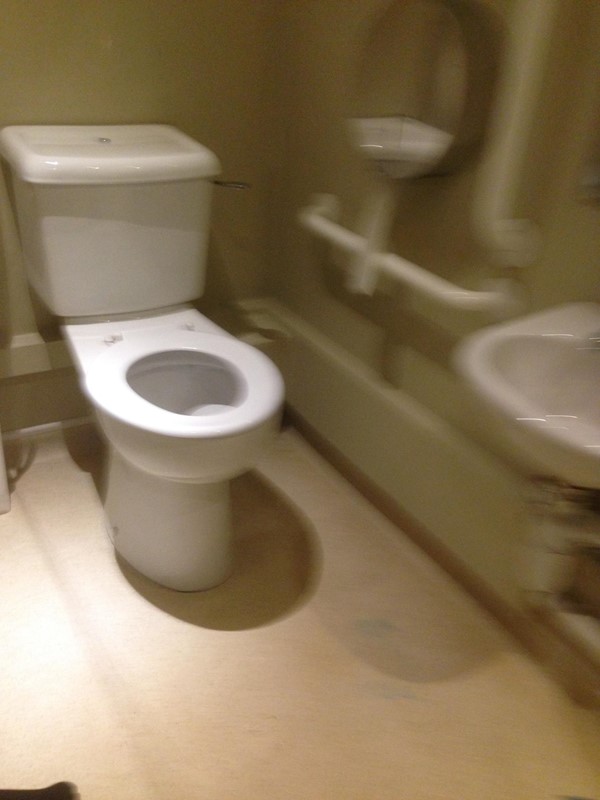 Accessible Toilet