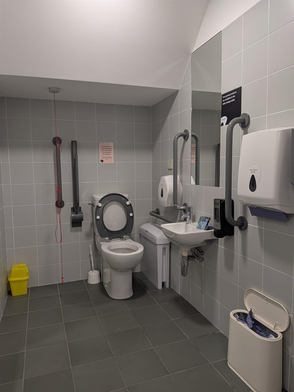 image of the toilet and sink inside of the accessible bathroom