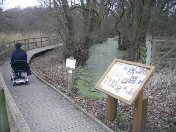 Photo of the reserve path.