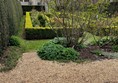 Picture of Mottistone Gardens