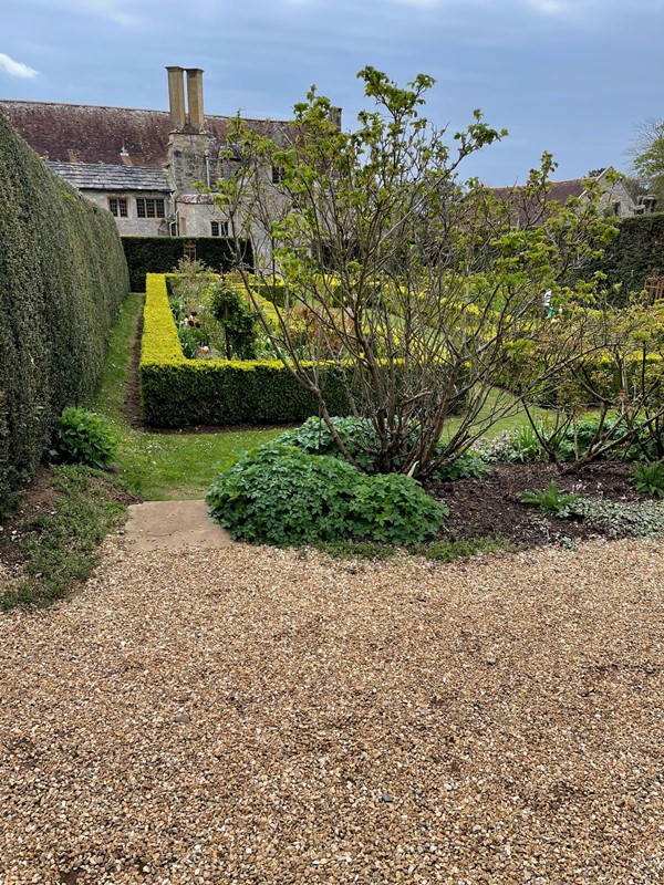 Picture of Mottistone Gardens