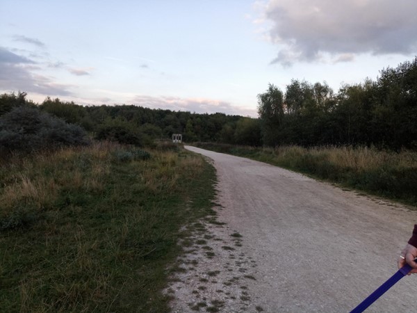 Wide path, good surface.