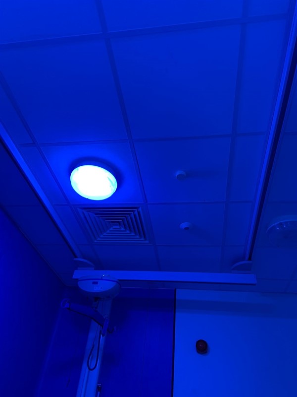 image of the ceiling hoist track in the Changing Places toilet