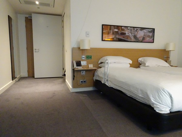Twin-bedded accessible room - the bedrail is ours and accompanies us on all our travels