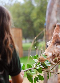 ZSL Whipsnade Zoo