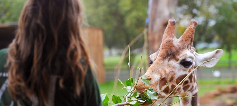 ZSL Whipsnade Zoo