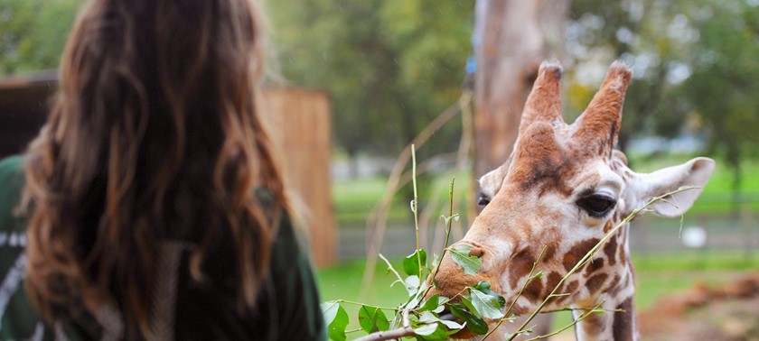 ZSL Whipsnade Zoo