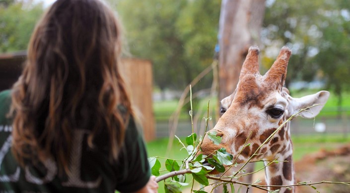 ZSL Whipsnade Zoo