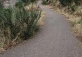 The path was wide and mostly in this condition