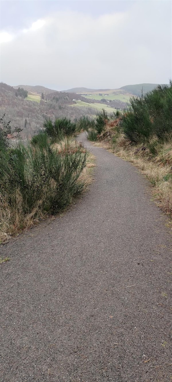 The path was wide and mostly in this condition