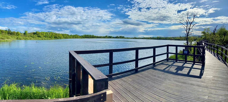 RSPB Lochwinnoch Nature Reserve