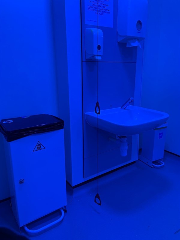 image of the sink, bin and red cord in the Changing Places toilet