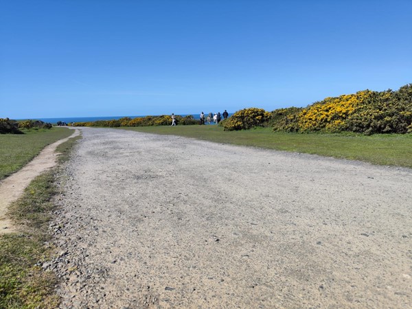 Image of Worms Head, Swansea