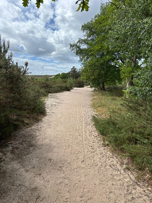 Image of a pathway