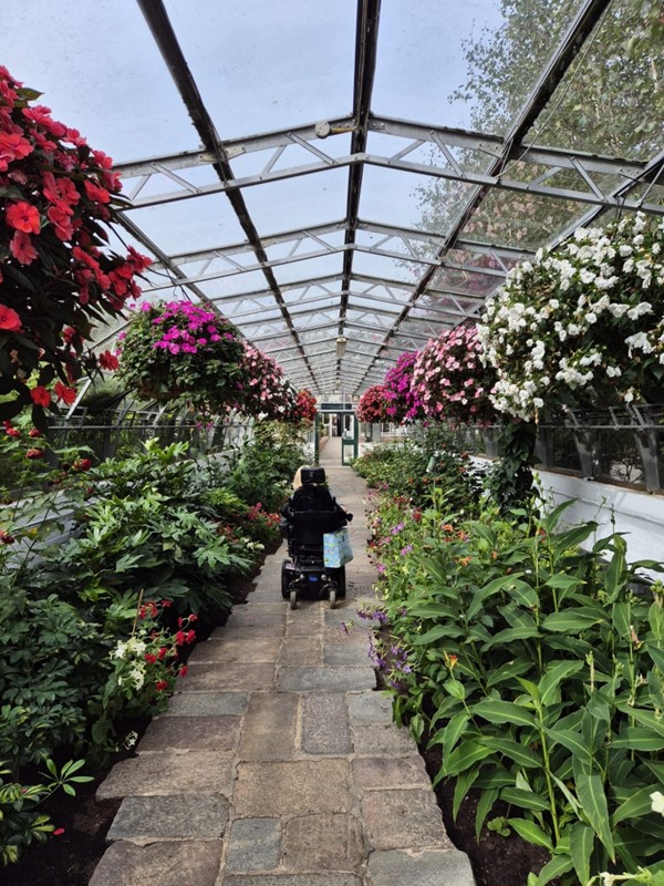 Image of a wheelchair in a large glasshouse.