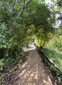Camley Street Natural Park - London Wildlife Trust