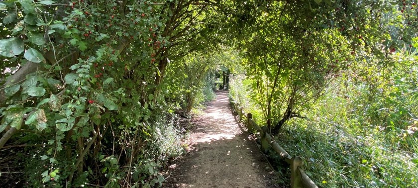 Camley Street Natural Park - London Wildlife Trust