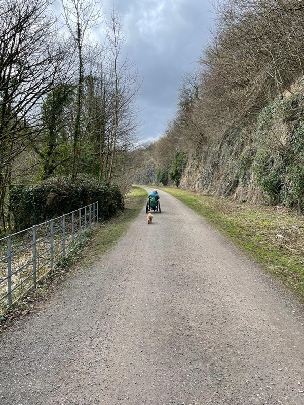 Picture of the Monsal Trail, Bakewell