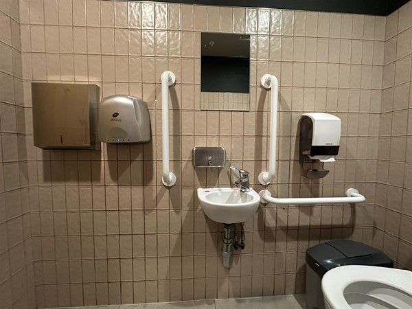 Image of accessible toilet