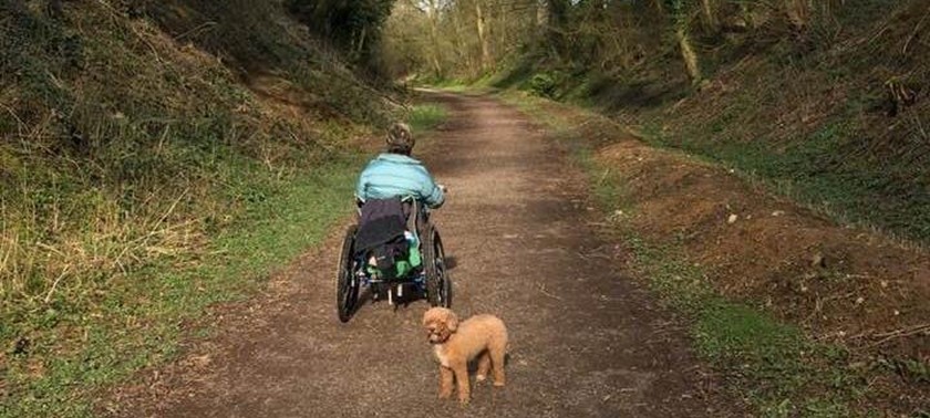 Tissington Trail