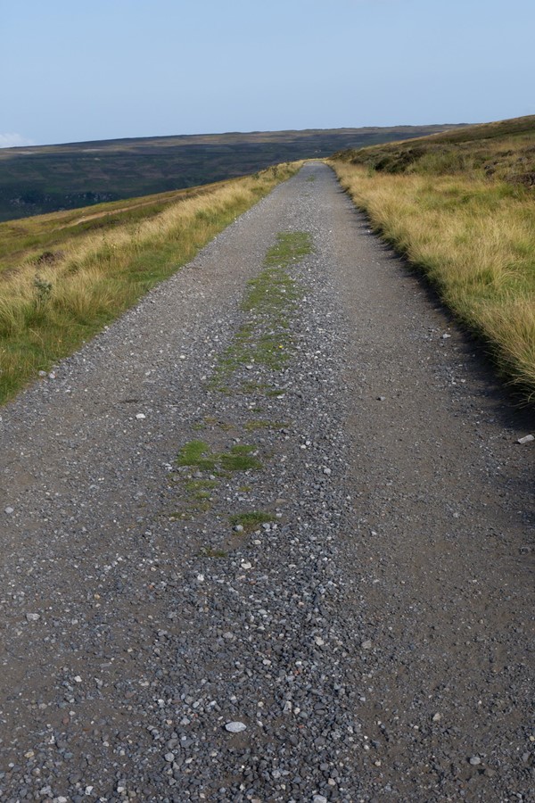 A sample of the old railway track. The quality is similar to this all the way along.