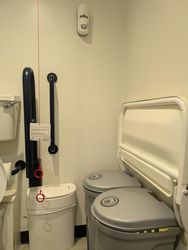 Image of accessible toilet in the  Peacock Rooms Café