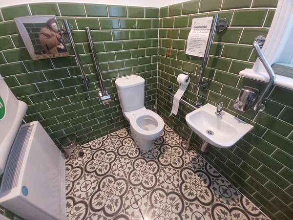 Picture of accessible toilet