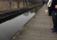 I was lucky to catch a train on the viaduct from the aqueduct