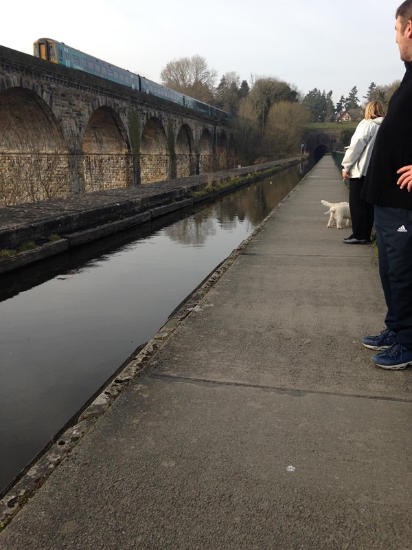 I was lucky to catch a train on the viaduct from the aqueduct
