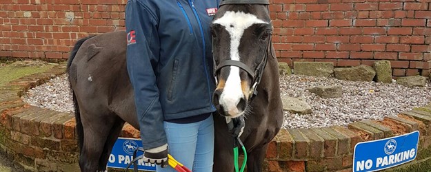 Disabled Access Day 2017 article image