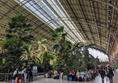 The tropical garden inside Madrid Railway Station (Puerta de Atocha). The north entrance is at the far end of this photo and special assistance is to the right of where I took this photo.