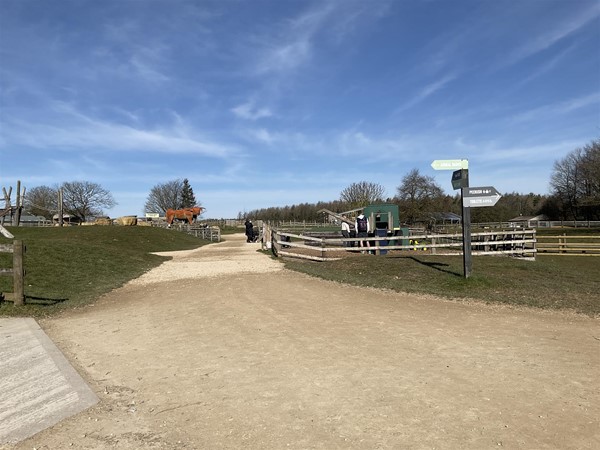 Image of signs by a dirt path.