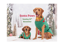 Santa Paws at Craigtoun 