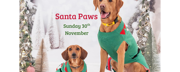 Santa Paws at Craigtoun  article image