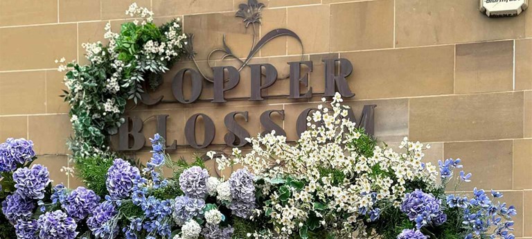 Copper Blossom