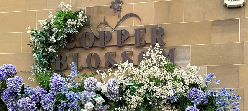 Copper Blossom