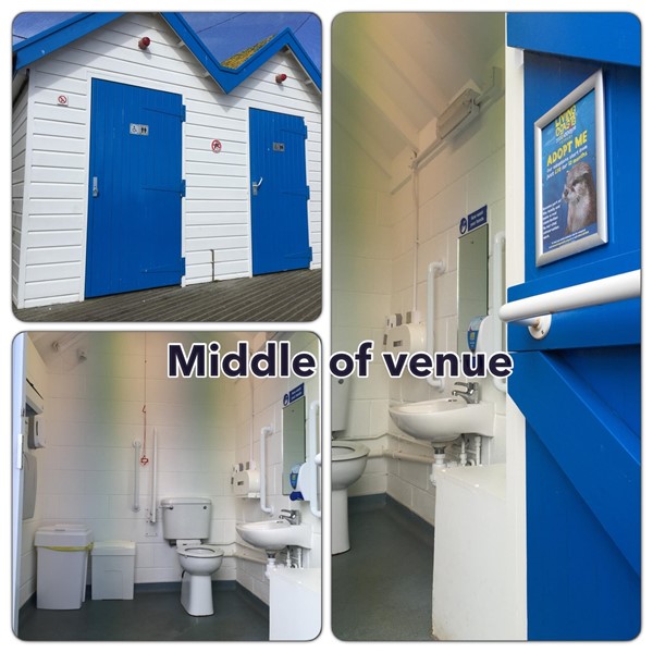 Toilet two