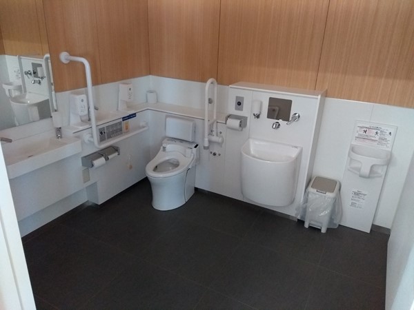 Photo of the unisex accessible toilet with an ostomate facility.