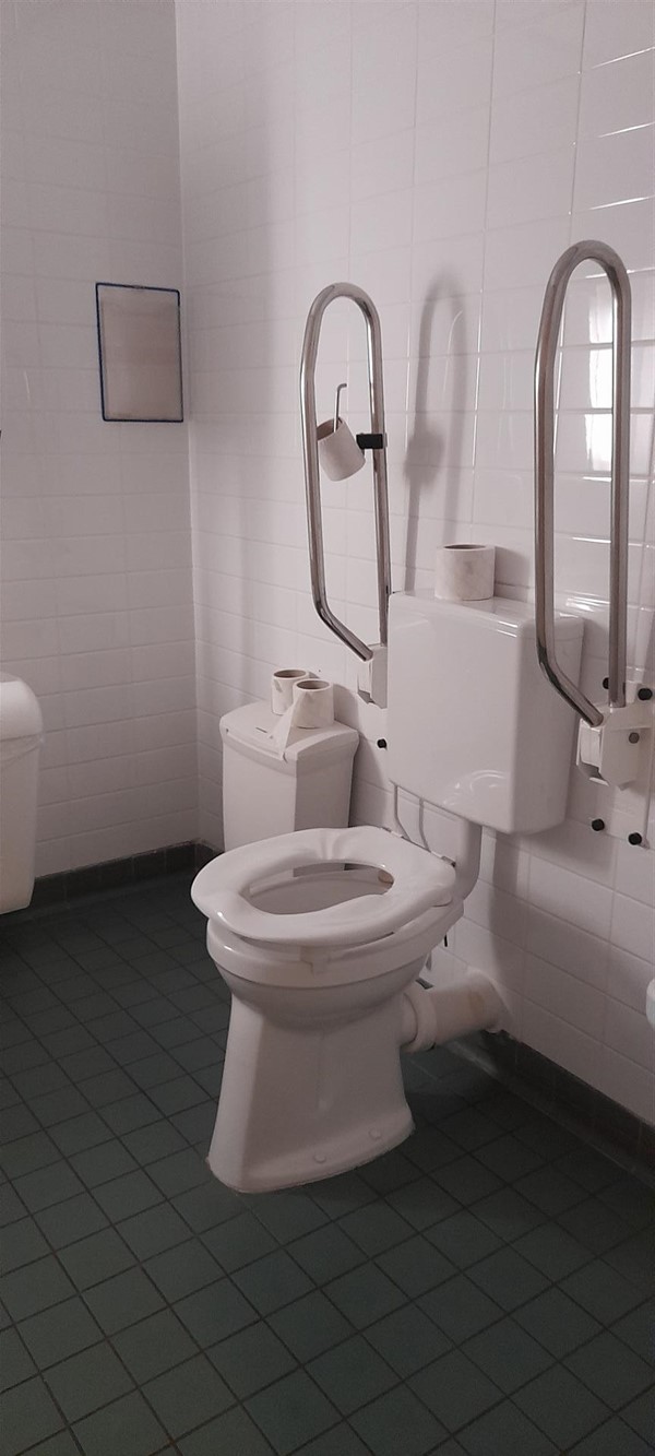 Image of a toilet with grabrails